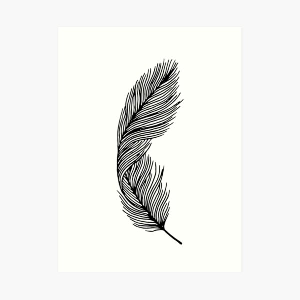 Fencing Feather Wall Art Redbubble