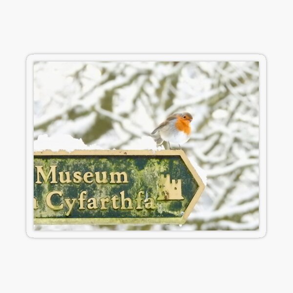 Item preview, Robin en cartel, Cyfarthfa Park designed and sold by Louisamhocking.