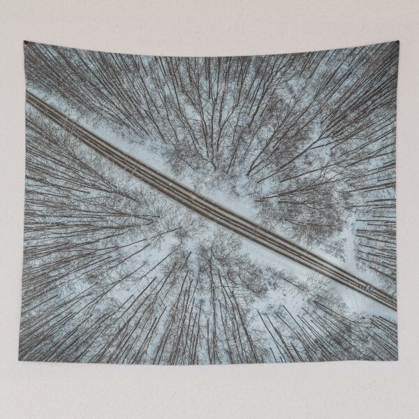 Item preview, Road through winter forest designed and sold by Lukasz Szczepanski.