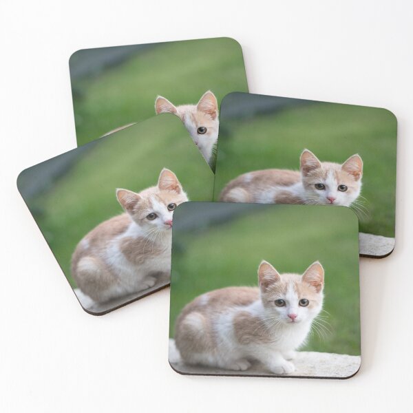 Item preview, Cute Cat / Catslover designed and sold by Trendy Design.