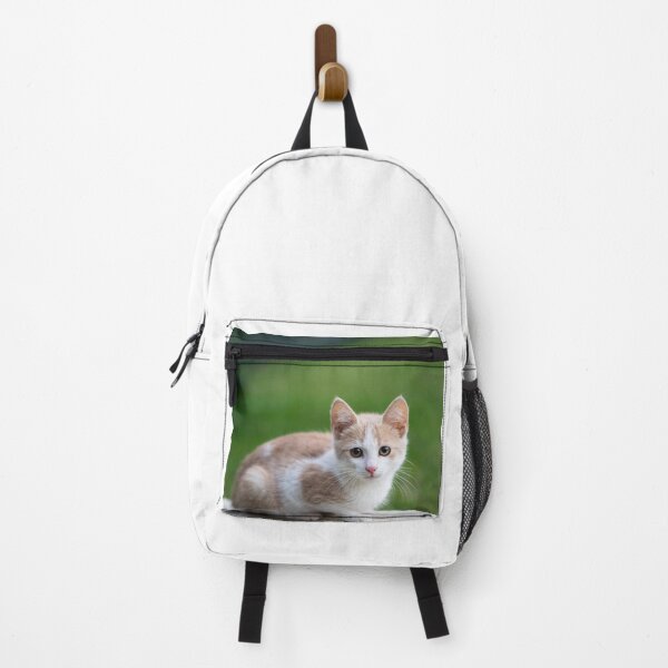 Item preview, Cute Cat / Catslover designed and sold by Trendy Design.
