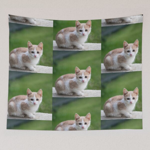 Item preview, Cute Cat / Catslover designed and sold by Trendy Design.