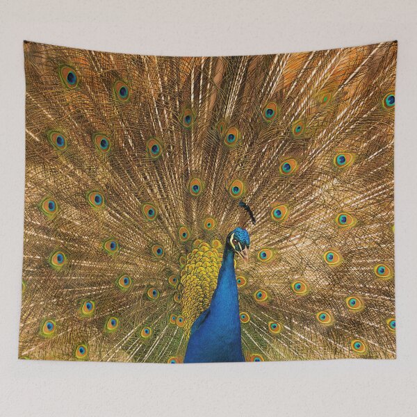 Item preview, #23 Peacock at Manor Organic Farm, Long Whatton designed and sold by phutball.