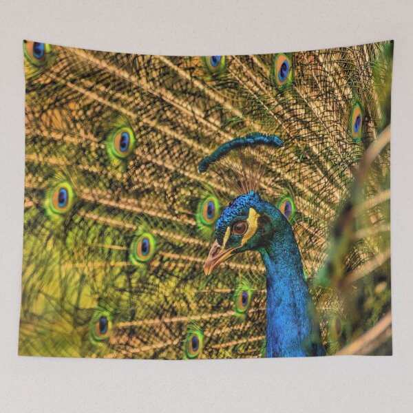 Item preview, #24 Peacock from Manor Organic Farm designed and sold by phutball.