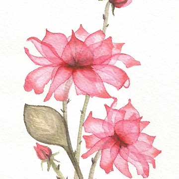 Artwork thumbnail, Red Roses by Mrunalini Gaikwad