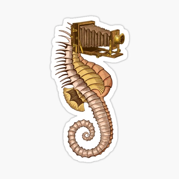 Hippocampus camerarum Sticker