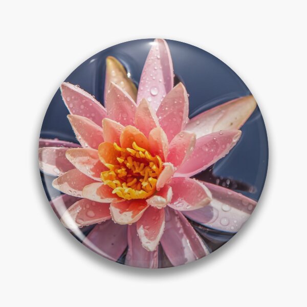 Item preview, USA. New Jersey. Grounds for Sculpture Park. Water Lily. designed and sold by vadim19.