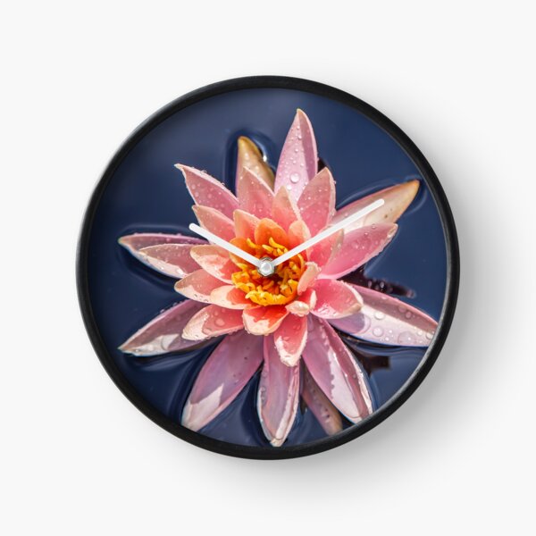 Item preview, USA. New Jersey. Grounds for Sculpture Park. Water Lily. designed and sold by vadim19.