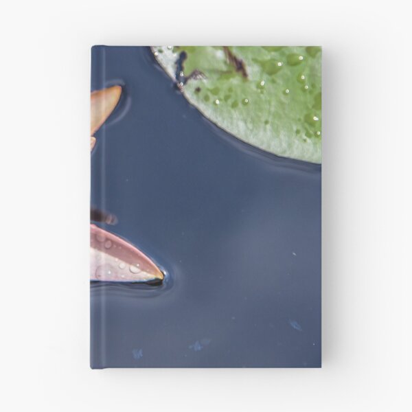 Item preview, USA. New Jersey. Grounds for Sculpture Park. Water Lily. designed and sold by vadim19.