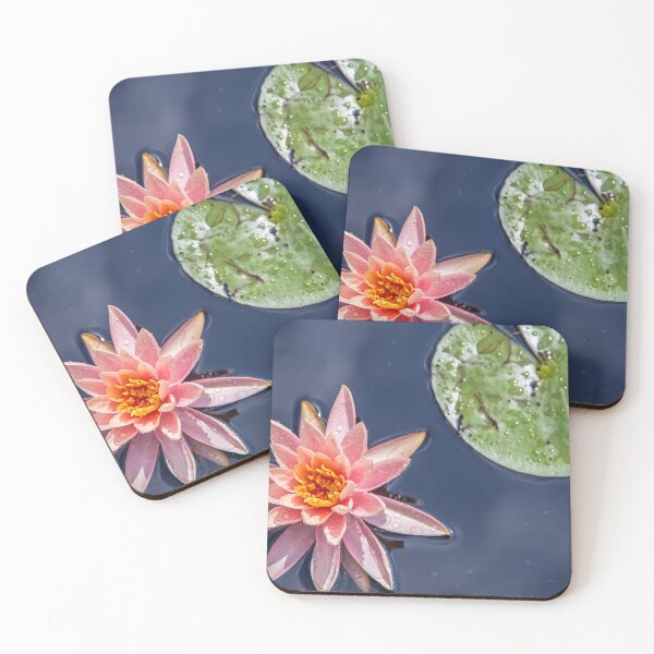 Item preview, USA. New Jersey. Grounds for Sculpture Park. Water Lily. designed and sold by vadim19.