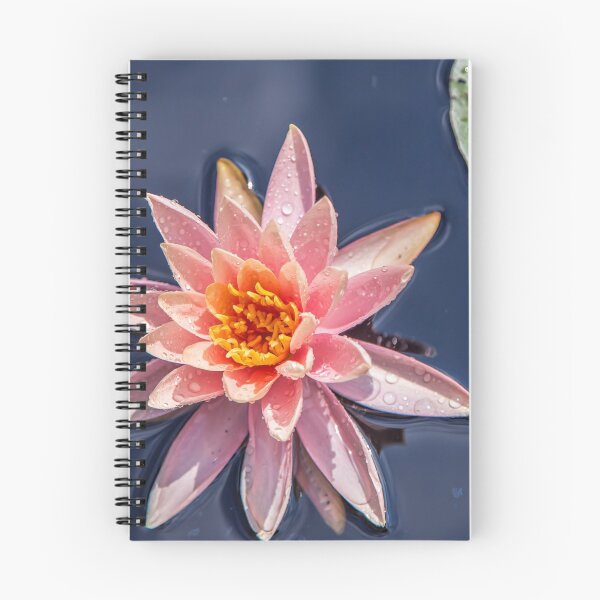 Item preview, USA. New Jersey. Grounds for Sculpture Park. Water Lily. designed and sold by vadim19.