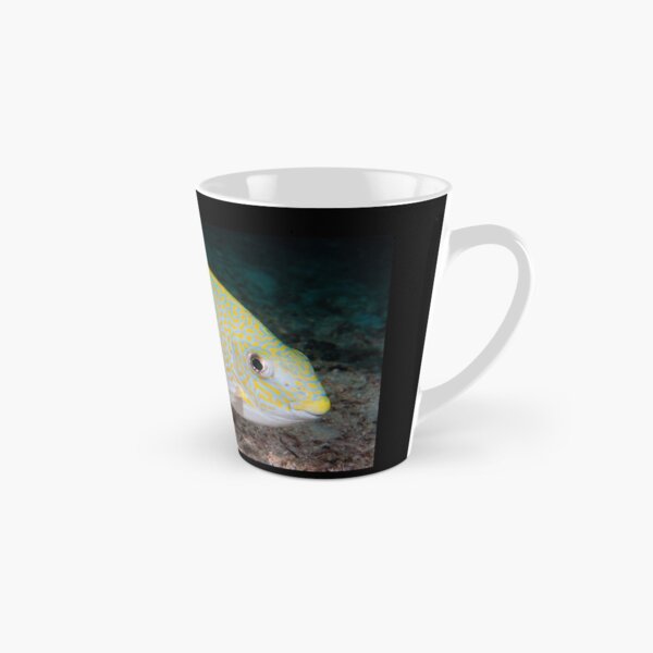 Golden Rabbitfish, Kapalai, Sabah, Malaysia Tall Mug