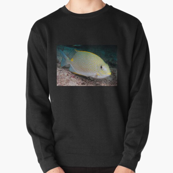 Golden Rabbitfish, Kapalai, Sabah, Malaysia Pullover Sweatshirt