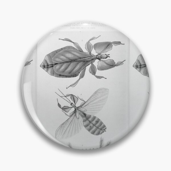 Item preview, Vintage Leaf Insect Scientific Print - Black and White version designed and sold by AJS-Designs.