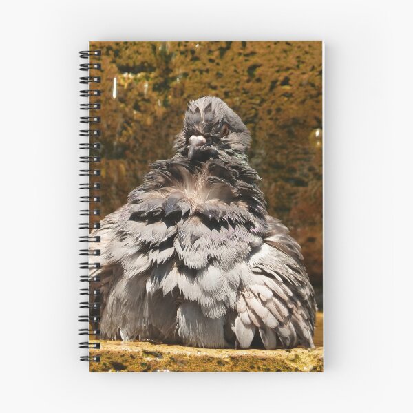 Item preview, birds I - pajaros designed and sold by Bernhard Matejka.