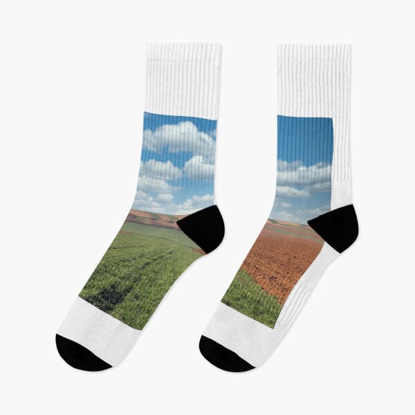 Item preview, Green wheat and plowed field landscape agriculture designed and sold by goceris.