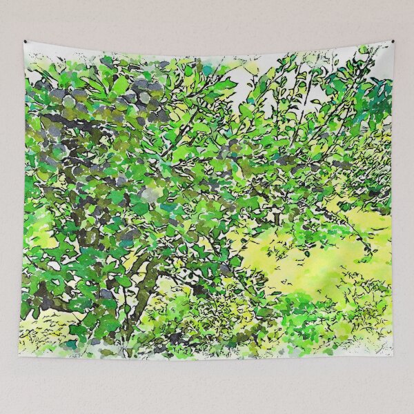 Item preview, Hortus Conclusus: plum tree designed and sold by Giuseppe Cocco.