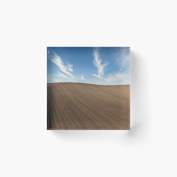 Item preview, Plowed field landscape agriculture spring season Voivodina Serbia designed and sold by goceris.