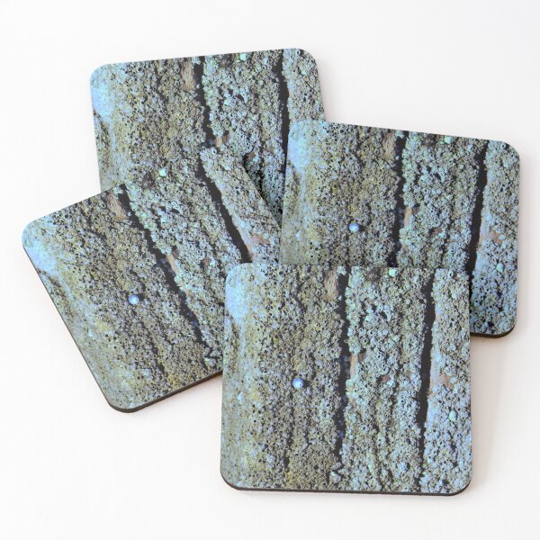 Item preview, Rustic weathered shabby wood and barnacles in turquoise ice blue designed and sold by chihuahuashower.