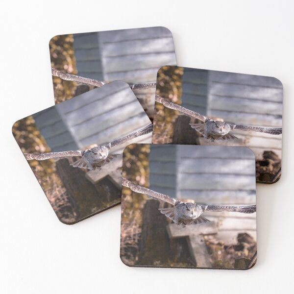 Item preview, Take off, and Take Flight designed and sold by Ben Porter Photography.
