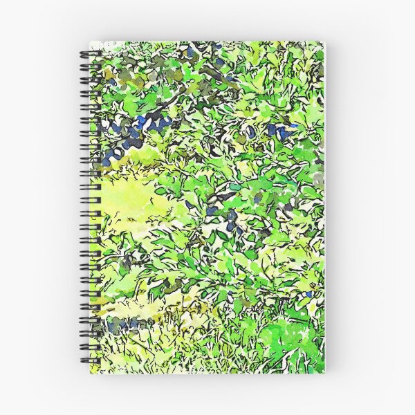 Item preview, Hortus Conclusus: plum tree designed and sold by Giuseppe Cocco.
