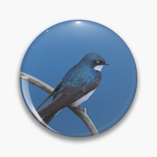 Item preview, Tree Swallow designed and sold by cherylorraine.