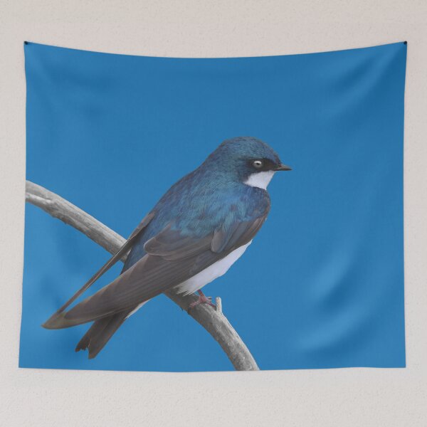 Item preview, Tree Swallow designed and sold by cherylorraine.