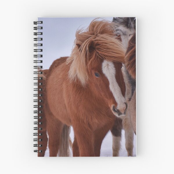 Item preview, Fluffy Icelandic horses designed and sold by elisainiceland.