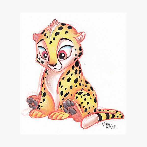 cheetah cub Photographic Print