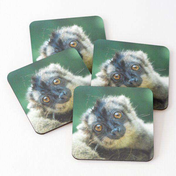 Item preview, Brown lemur sits on someone's head designed and sold by uglyishart.