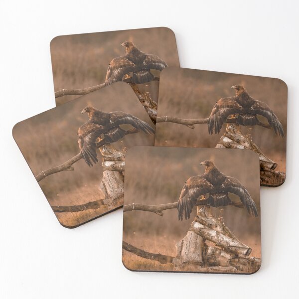 Item preview, Golden Eagle designed and sold by Ben Porter Photography.