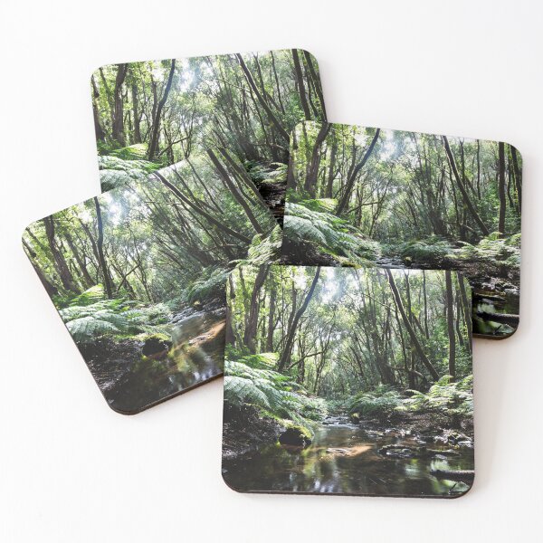 Item preview, Hiking in the Garajonay National Park designed and sold by Robert Gall Photography.