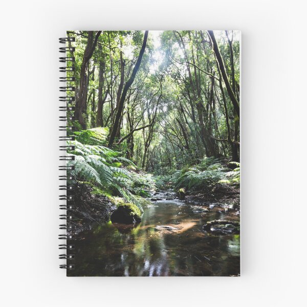 Item preview, Hiking in the Garajonay National Park designed and sold by Robert Gall Photography.