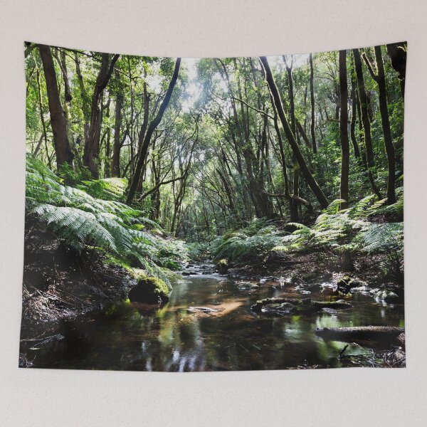 Item preview, Hiking in the Garajonay National Park designed and sold by Robert Gall Photography.