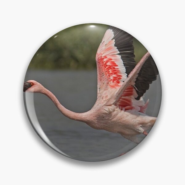 Item preview, Awesome lesser flamingo.  designed and sold by Lan thi Nguyen.