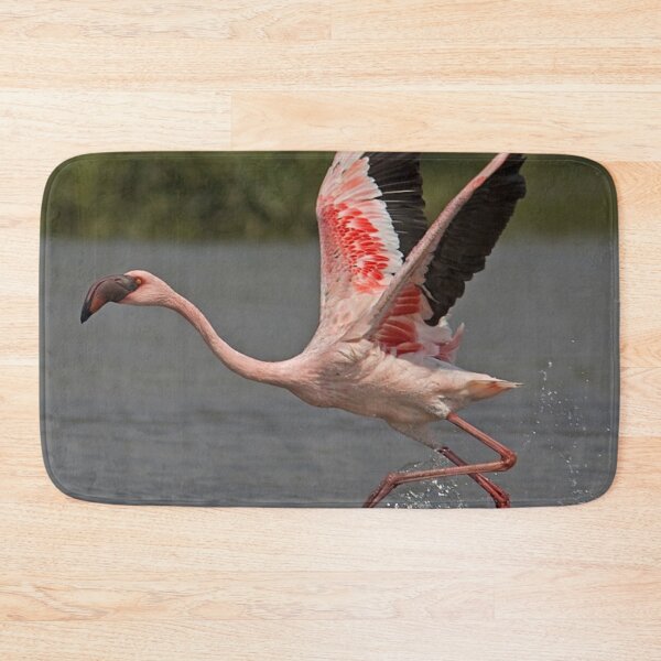 Item preview, Awesome lesser flamingo.  designed and sold by Lan thi Nguyen.