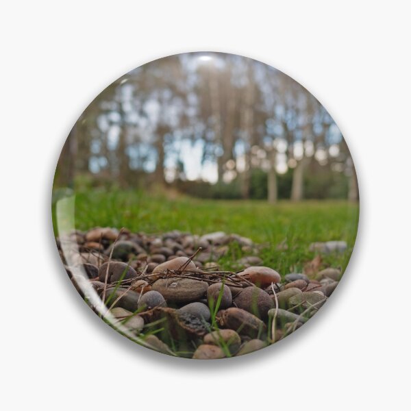 Item preview, Pebbles and pine close up in the garden designed and sold by santoshputhran.