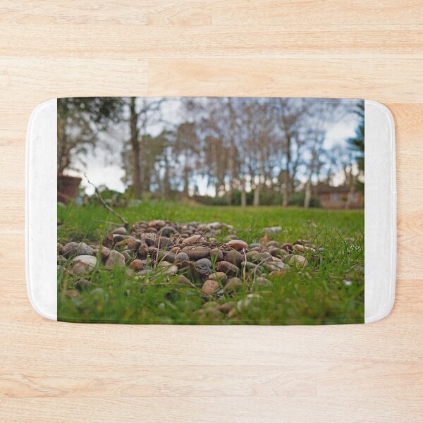 Item preview, Pebbles and pine close up in the garden designed and sold by santoshputhran.