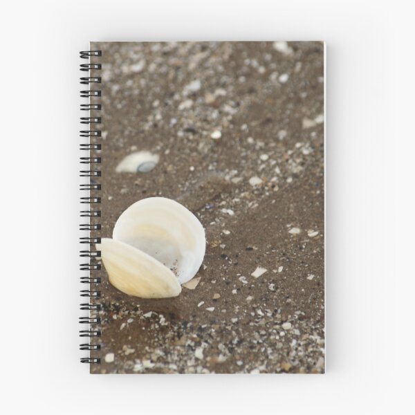 Item preview, Empty Shell designed and sold by Adrian Wale.