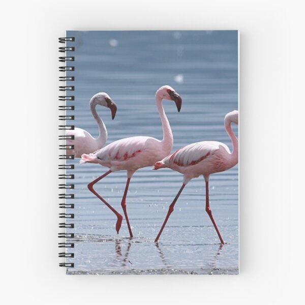 Item preview, Lesser flamingo family. designed and sold by Lan thi Nguyen.