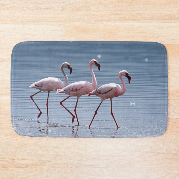 Item preview, Lesser flamingo family. designed and sold by Lan thi Nguyen.