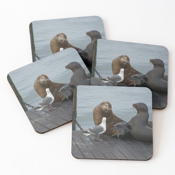 Item preview, Sea Lion and Seagull designed and sold by garne4.