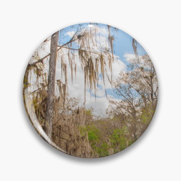 Item preview, Where the Cypress meet the Glades designed and sold by garne4.