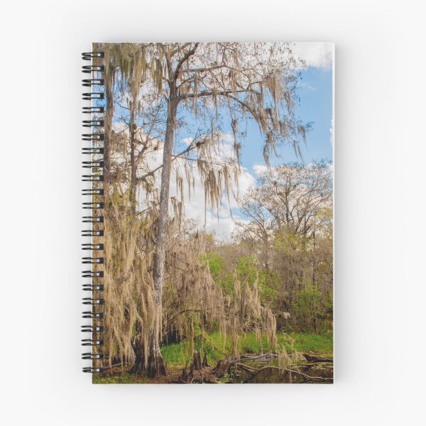Item preview, Where the Cypress meet the Glades designed and sold by garne4.