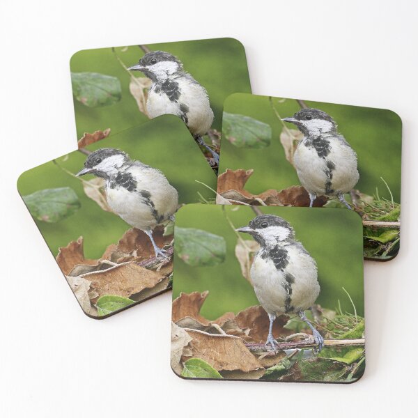 Item preview, r1471/ Super New Finition 2021- Birds  b 22 (c)(t)  by Olao-Olavia / Okaio Créations   designed and sold by o.okaïo.