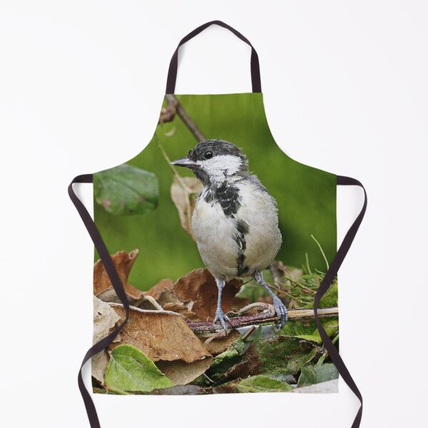 Item preview, r1471/ Super New Finition 2021- Birds b 22 (c)(t) by Olao-Olavia / Okaio Créations designed and sold by o.okaïo.