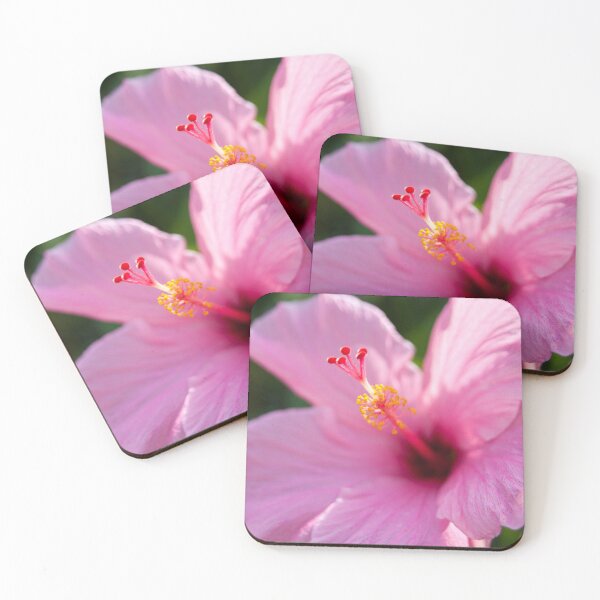 Item preview, Pink Hibiscus in Florida designed and sold by garne4.