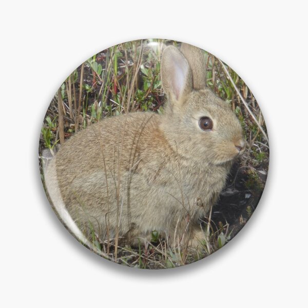 Item preview, Wild rabbit designed and sold by Kriti68.