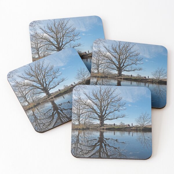 Item preview, Reflections of trees in water designed and sold by santoshputhran.