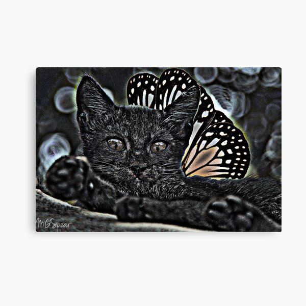 wandbilder gefl c3 bcgelte katze redbubble